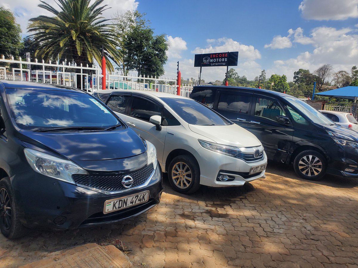 Mtu_kutu💦🍑 tweet media