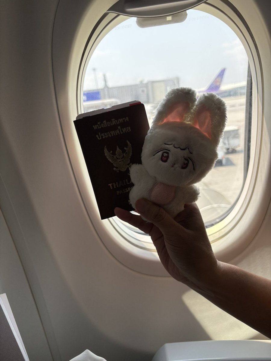 ❤️bj_pang💚 tweet media