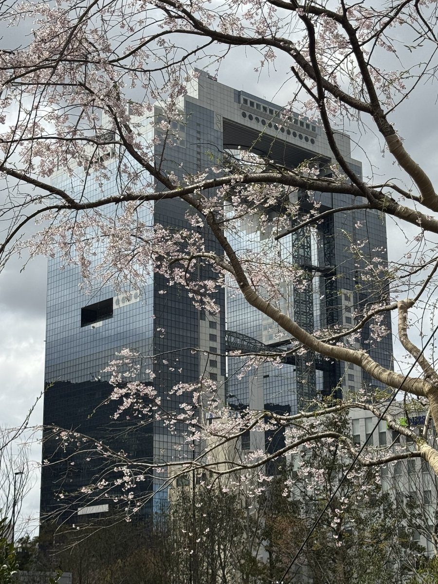 ゴリモンⒼ tweet media