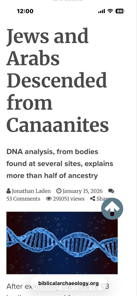 myleague 🇺🇸🇯🇵🇹🇴🏴☠️ tweet media