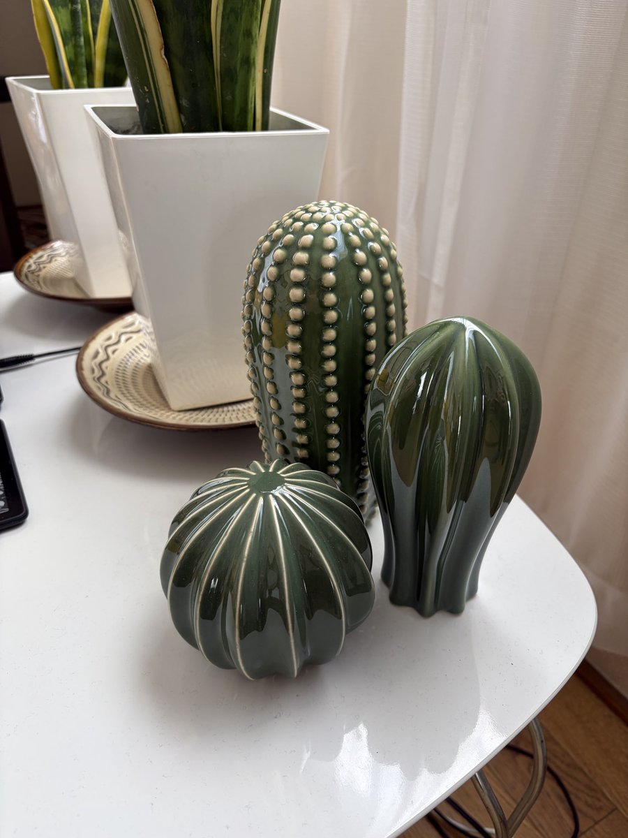 fizzyslightly's tweet photo. IKEAのサボテン🌵買いました！ https://t.co/JU8ngo2rrO