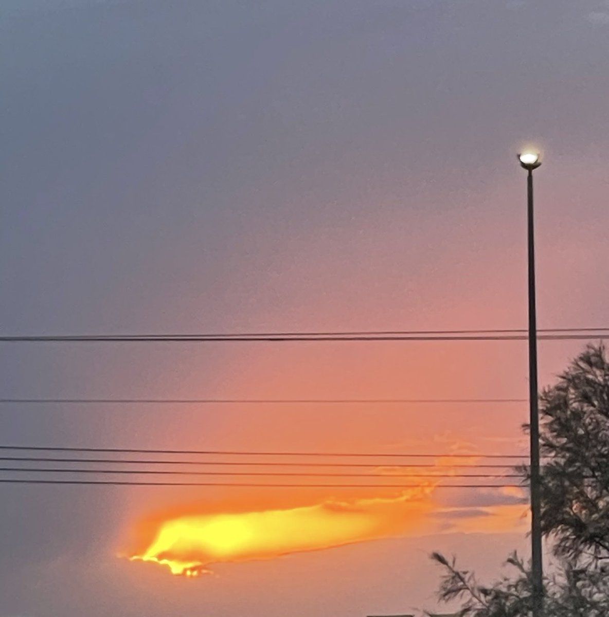 عقل الضميري tweet media