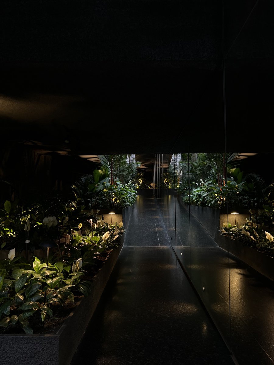 dᥲιsყ tweet media