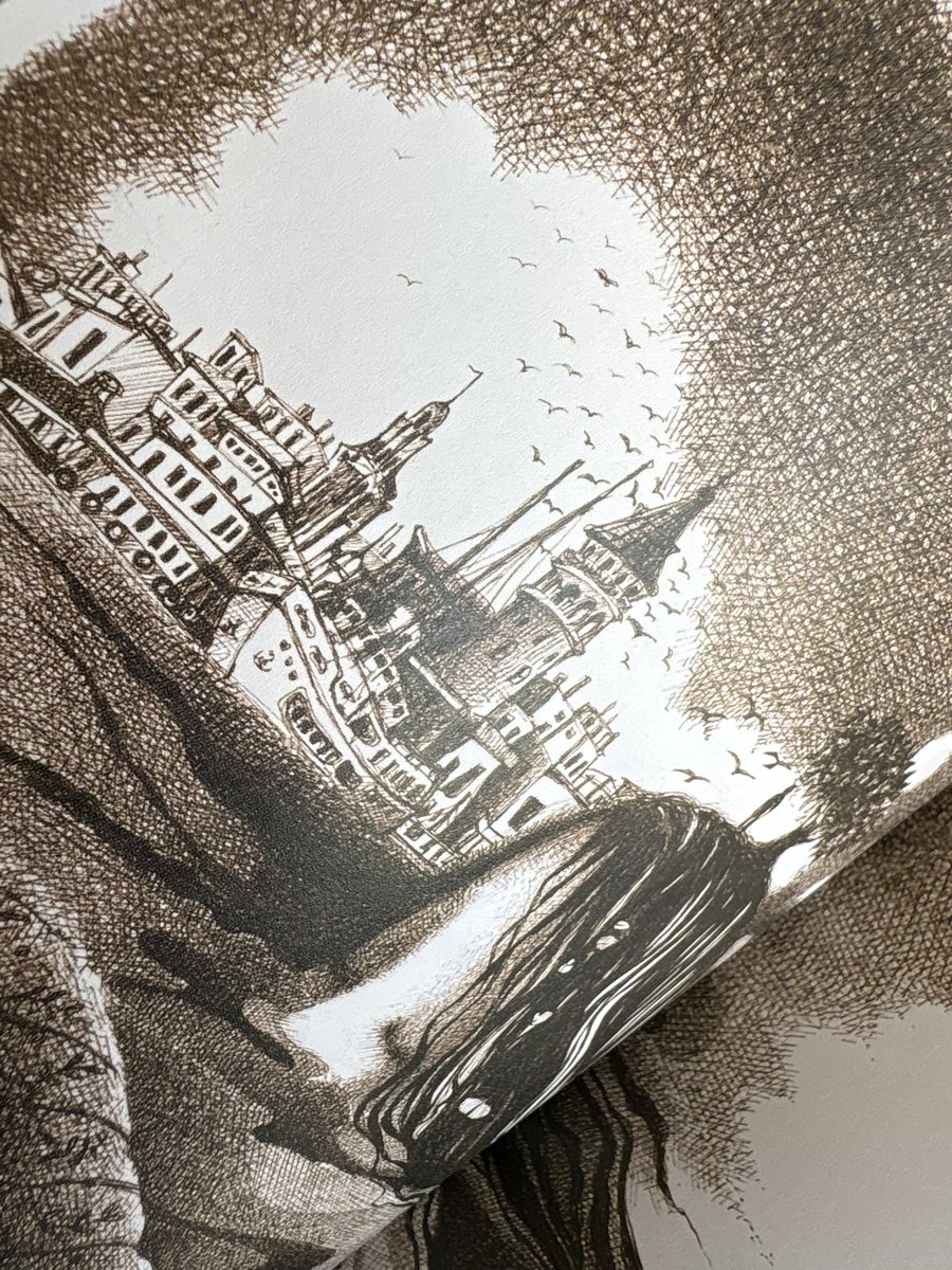 Gül CAN tweet media