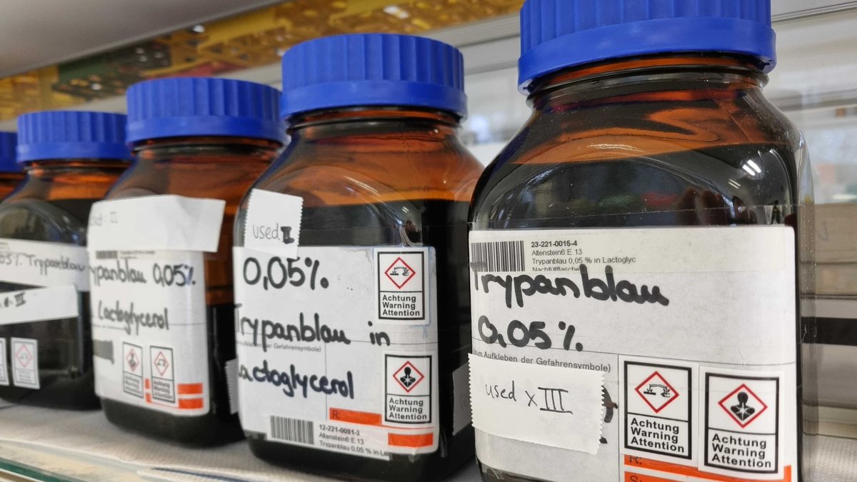 Matthias C. Rillig tweet media