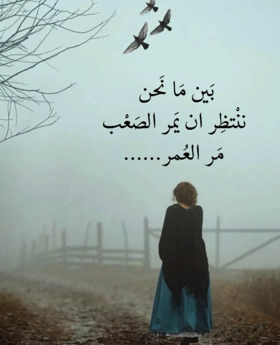 قمر الجابرية tweet media