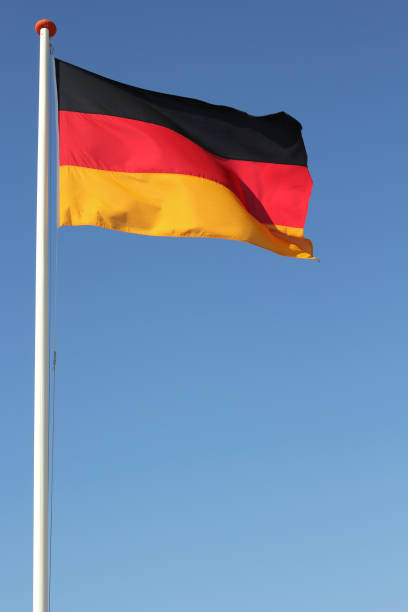 Jackson Hinkle 🇺🇸 tweet media