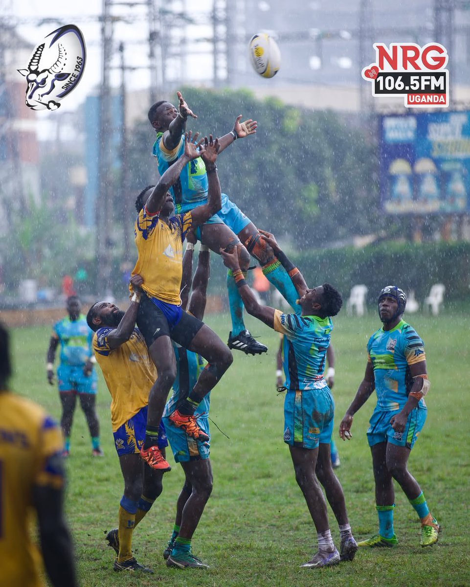 KCB KOBs Rugby Club tweet media