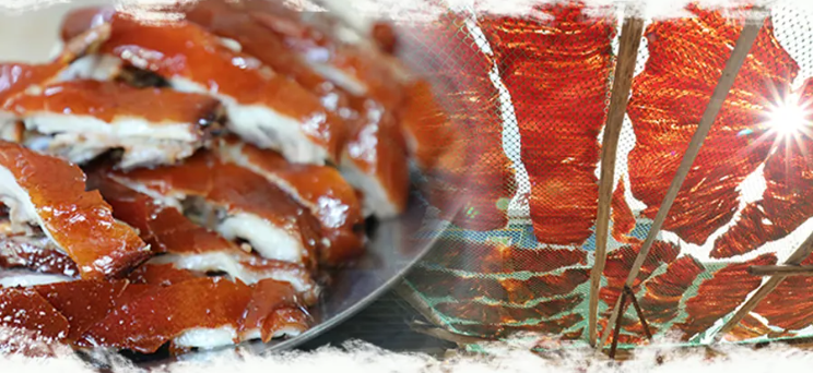 hiHainan tweet media