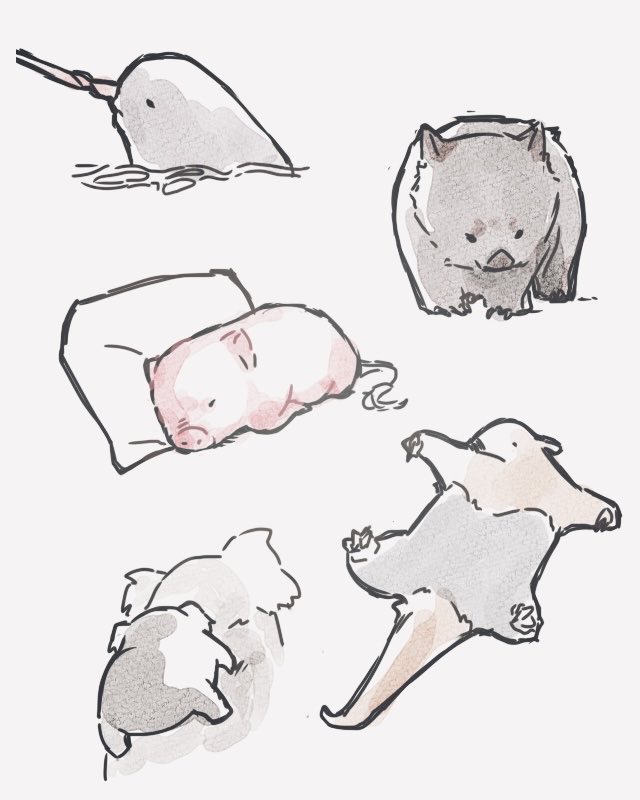 今日描いたアニマル