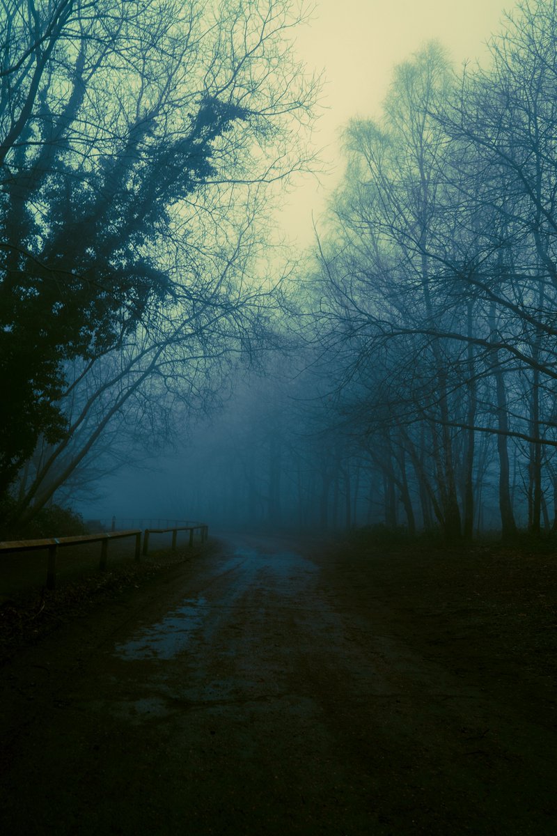 zosphotos's tweet photo. Mystical pathways https://t.co/J0mmkOj2Y4