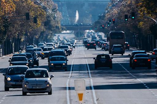 El Veraz tweet media