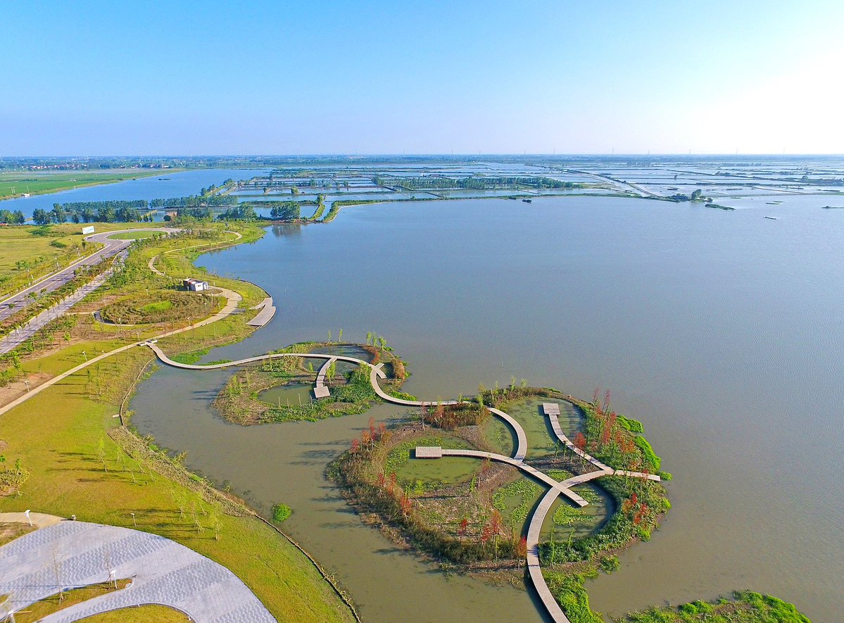 bradleydallinson tweet media