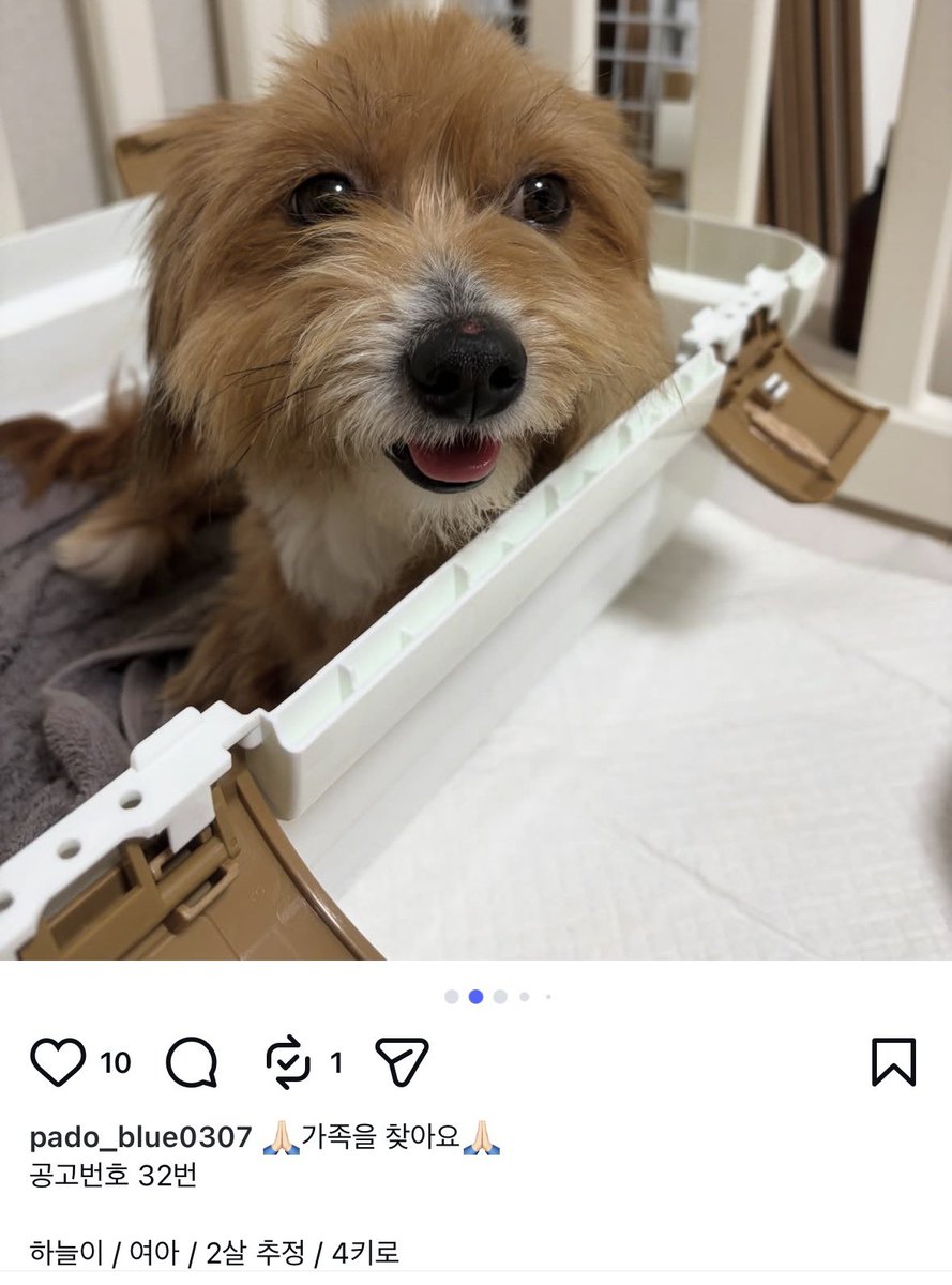 강보ㄹ| (메인트 RT 부탁합니다) tweet media