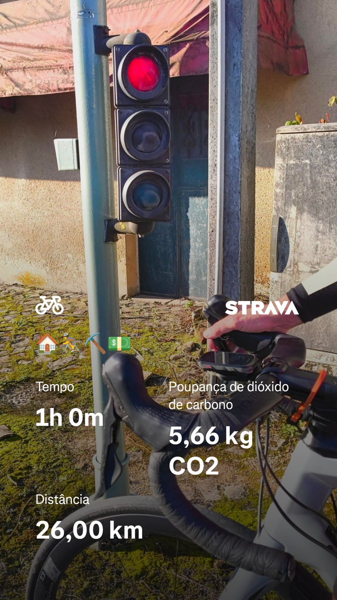 shelltox tweet media