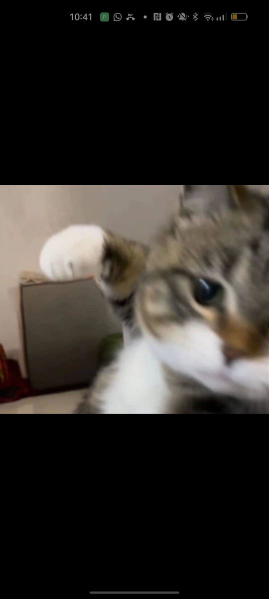 Dimij_ksw tweet media