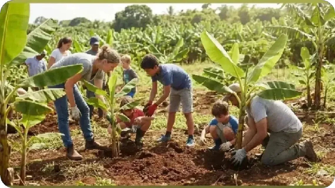 HashimuA15336's tweet photo. This image says it all 🌿
It starts with you. Make a difference.

View the post 👉 https://t.co/4h0B2Wk54V
Earn GREEN on ECOX Network while you act:
https://t.co/k3z5p5reyb

#ECOX #GREEN #ECO_TO_EARN https://t.co/7EzzKjYlLh