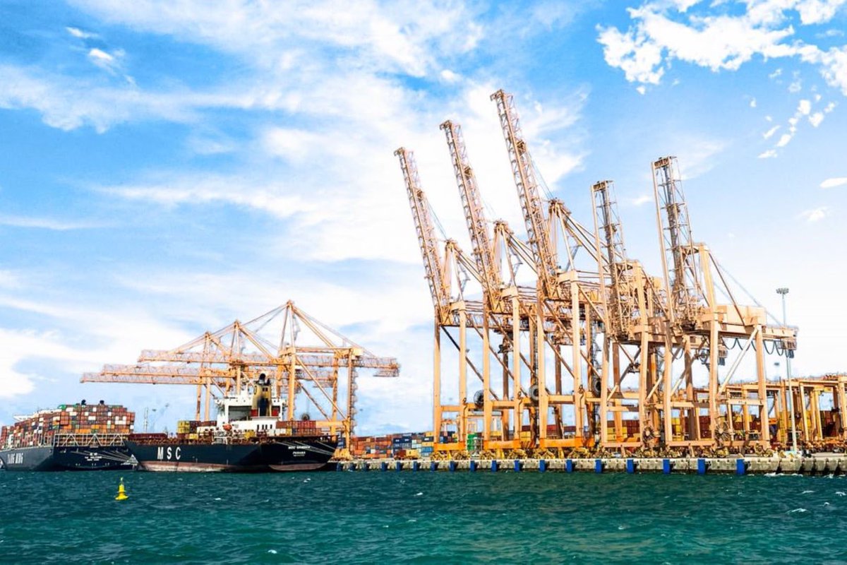 مشاريع السعودية tweet media