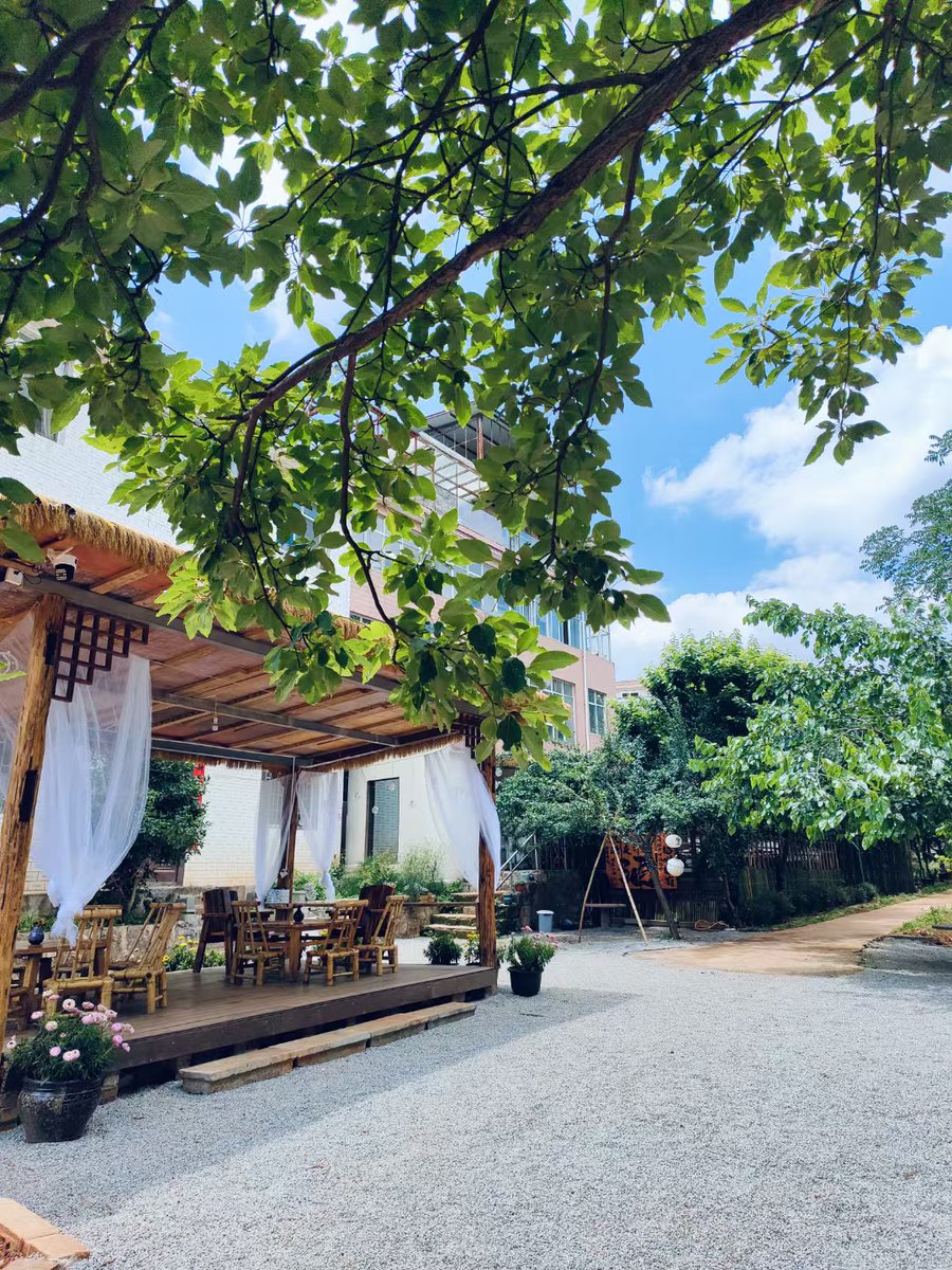 Peter Dula tweet media