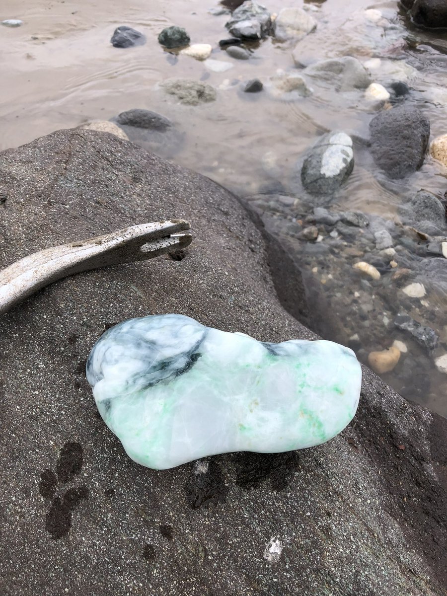 翡翠とベンツ大好き tweet media