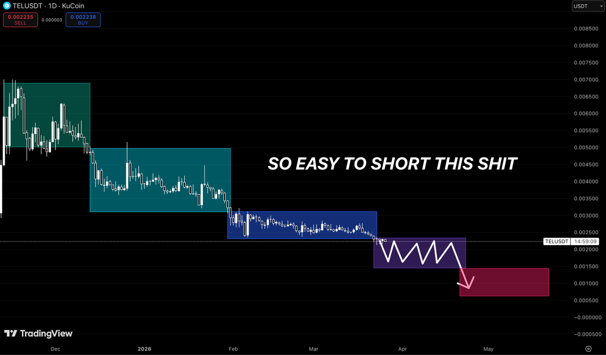 chief of overthinking tweet media