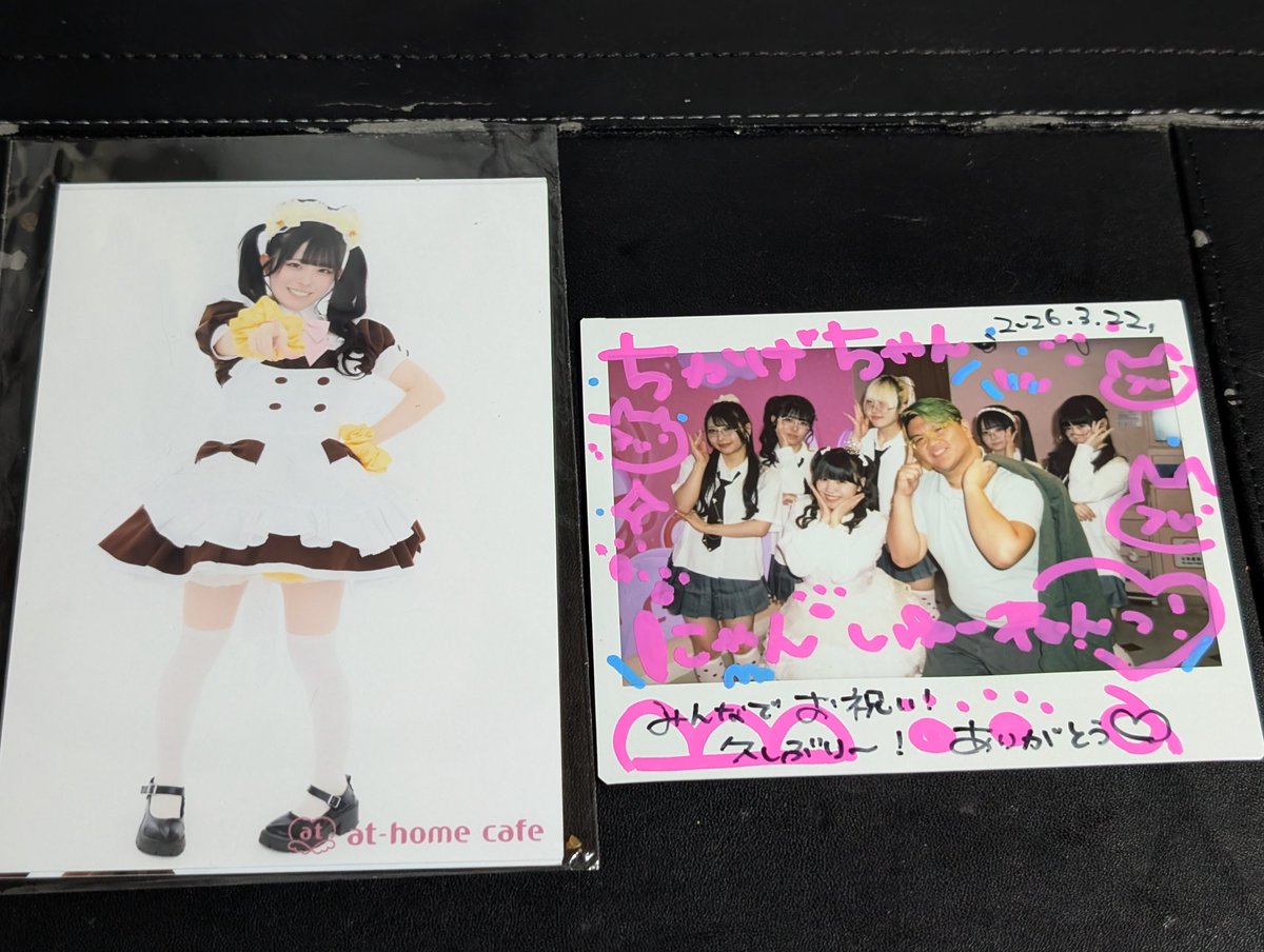 SpiritVet tweet media