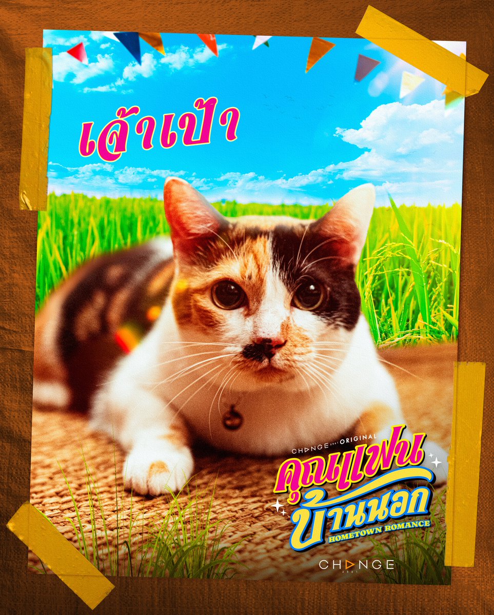 Hometown Romance tweet media