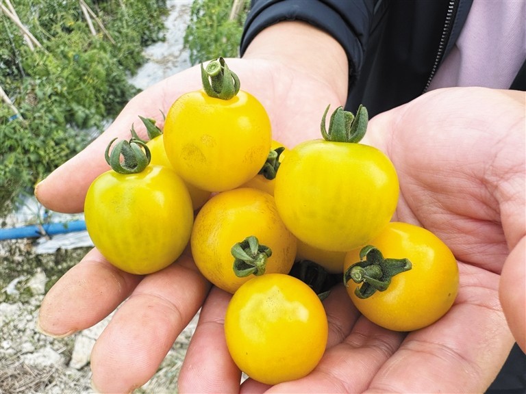 Peter  Doyle tweet media