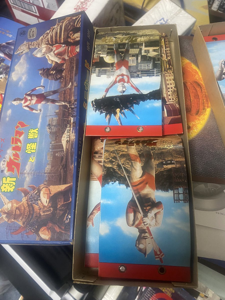 東森真美 tweet media