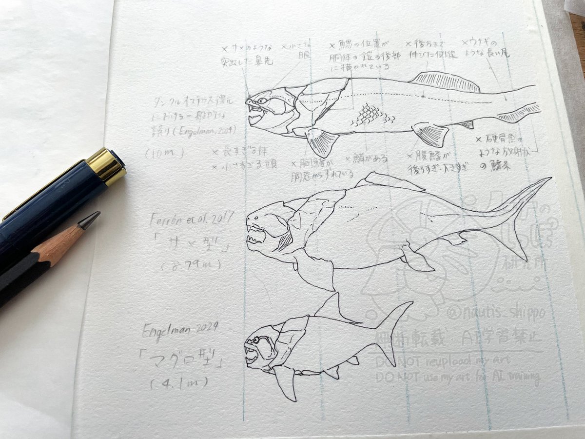 ノーチのしっぽ研究所 tweet media