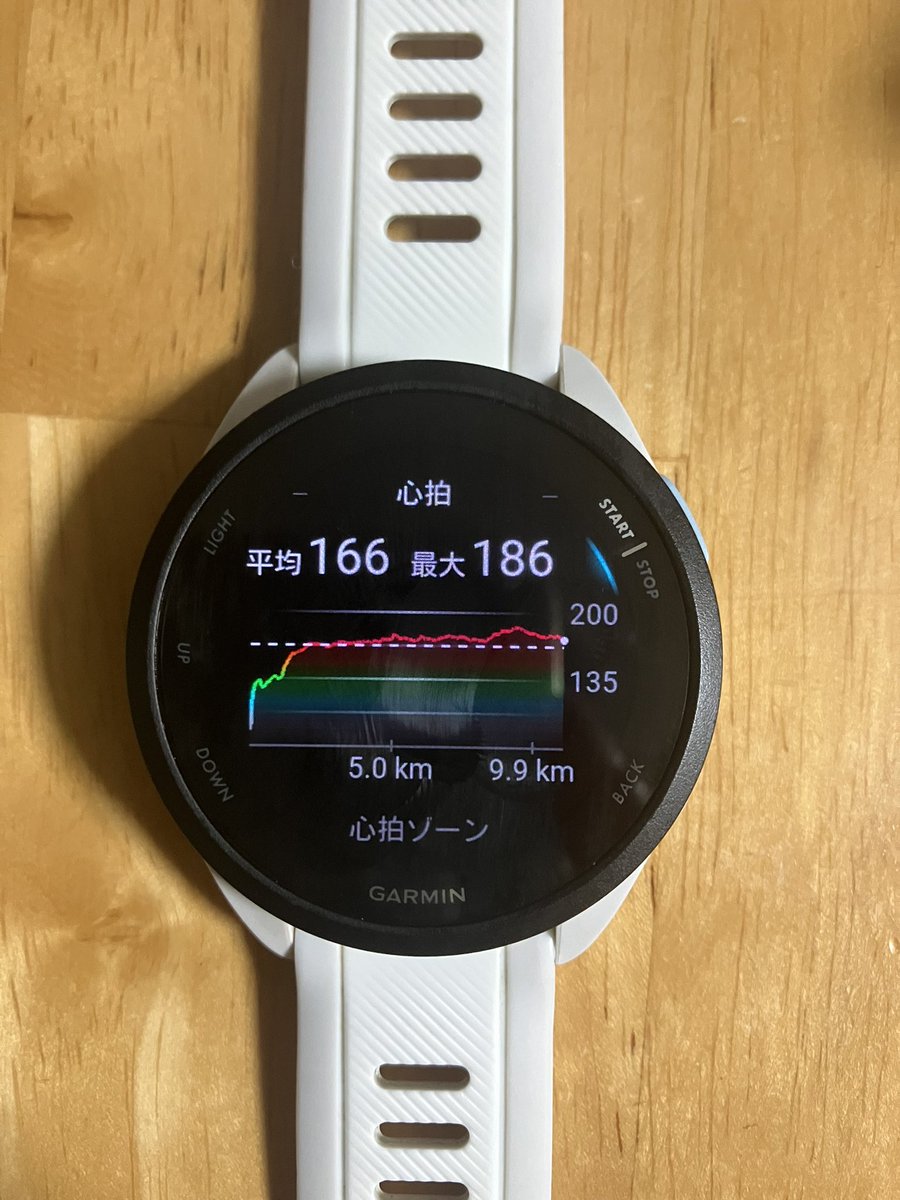 がっちゃん tweet media