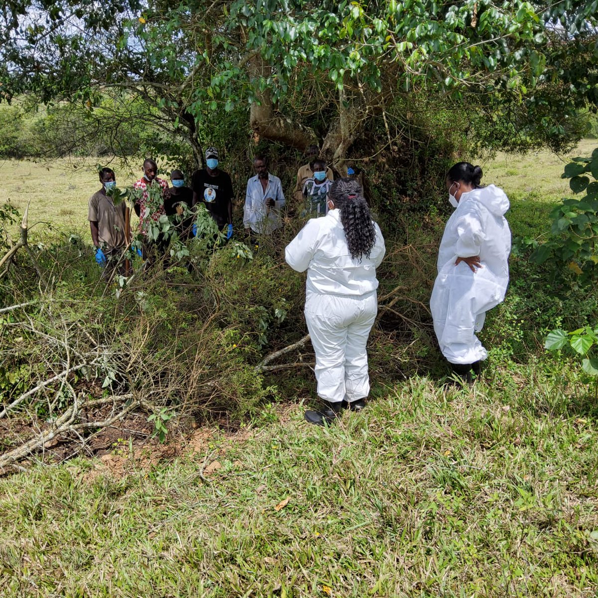 Uganda National Institute of Public Health (UNIPH) tweet media
