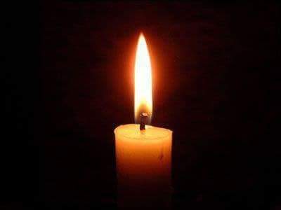 Parisian Free Bird. tweet media