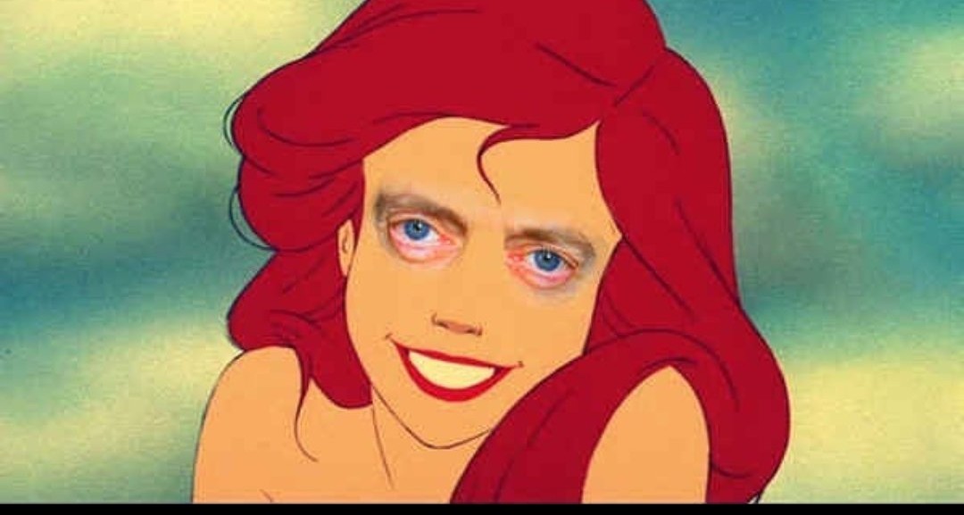 Stephanie Horror 🖤 tweet media