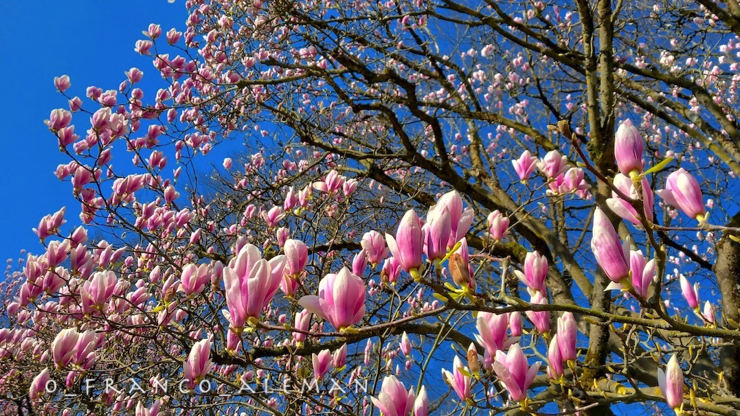 Franck Marc ✌ tweet media