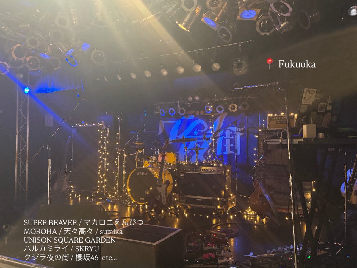 とん。 tweet media