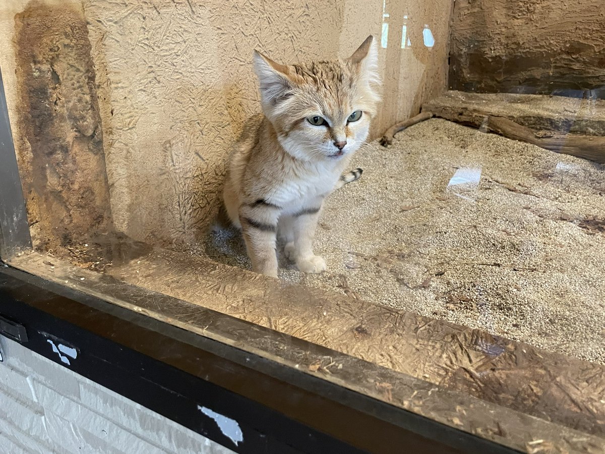 ゆかたす🌹 tweet media