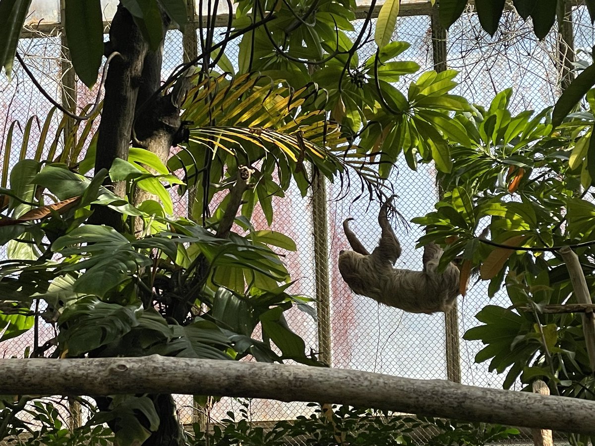 ゆかたす🌹 tweet media