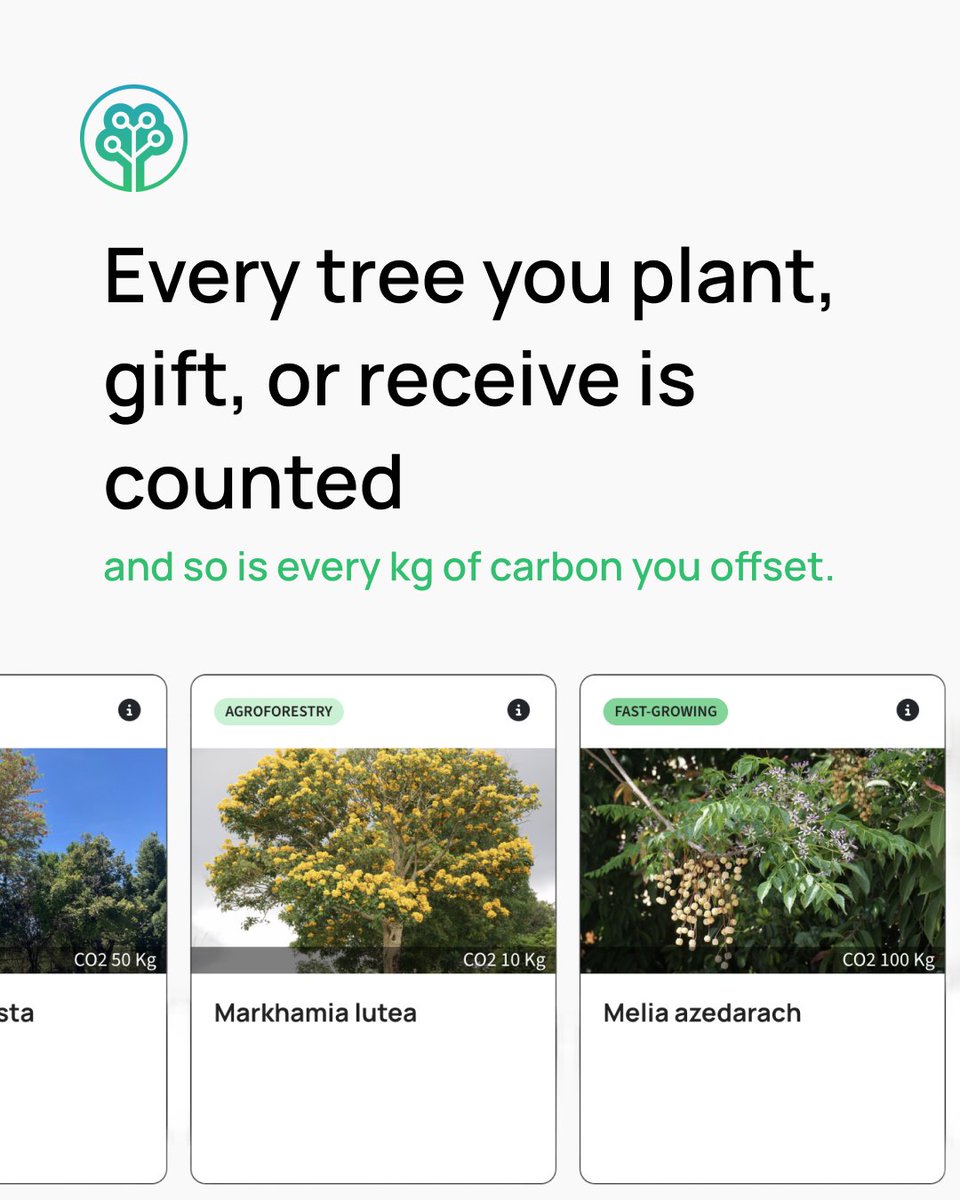 Tree-Nation tweet media