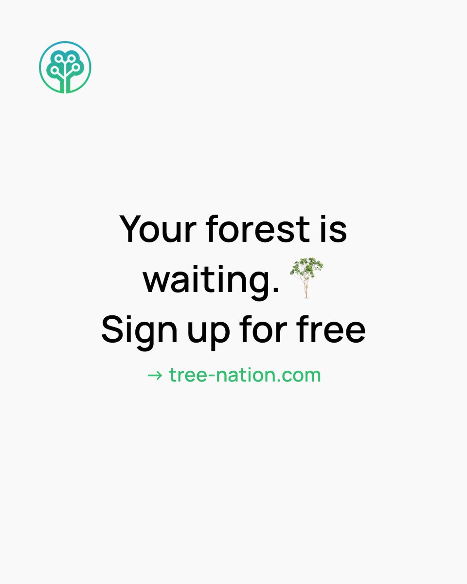 Tree-Nation tweet media