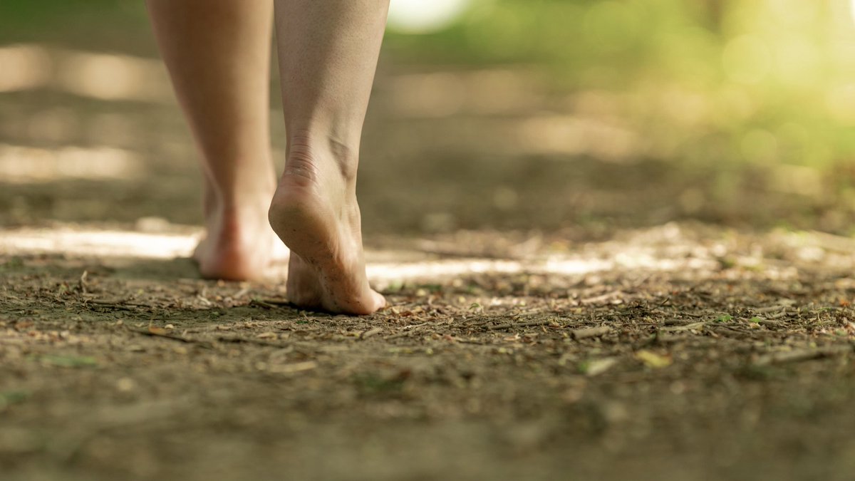 Safe Soil UK tweet media