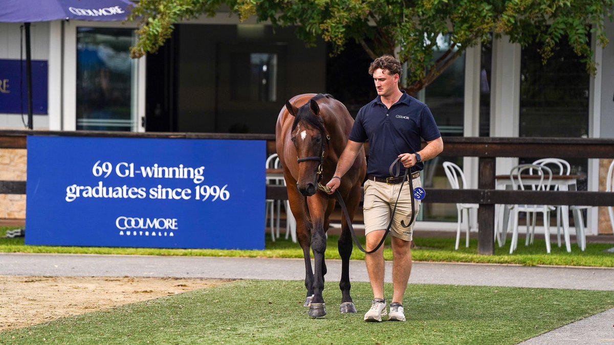 Tom Magnier Coolmore tweet media