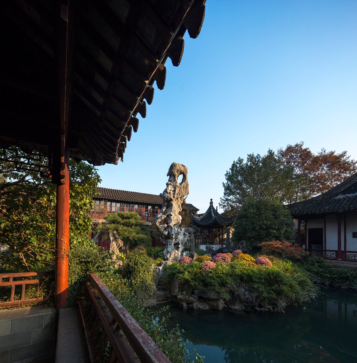 Ramona Frith tweet media