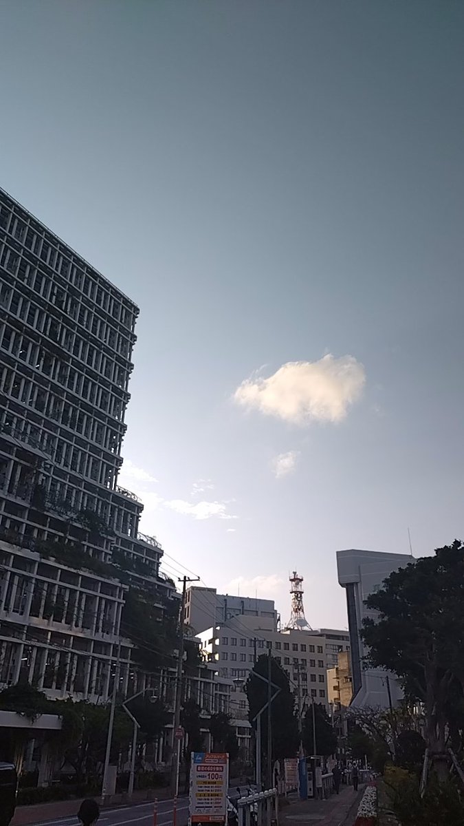 やまざる弐号 tweet media