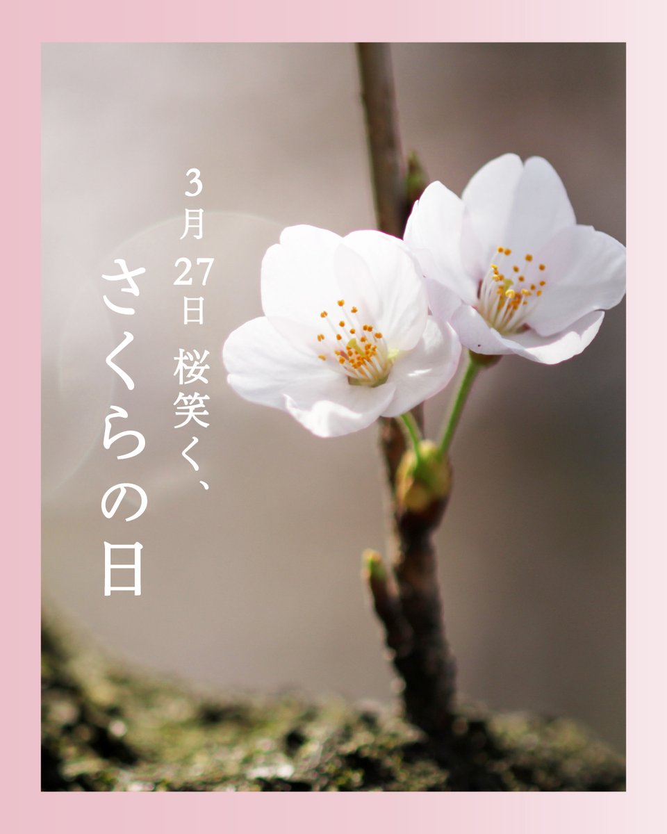 暦生活 tweet media