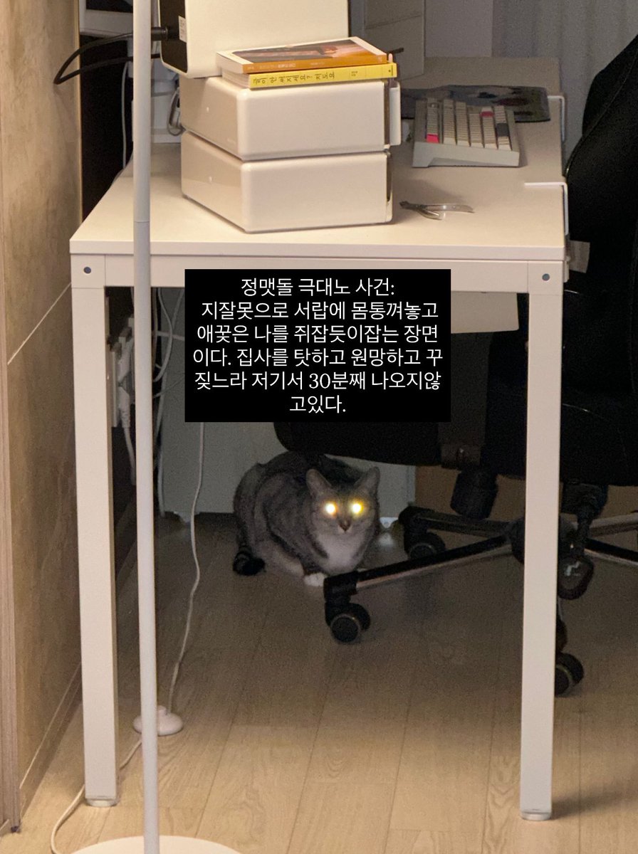 정지음 tweet media