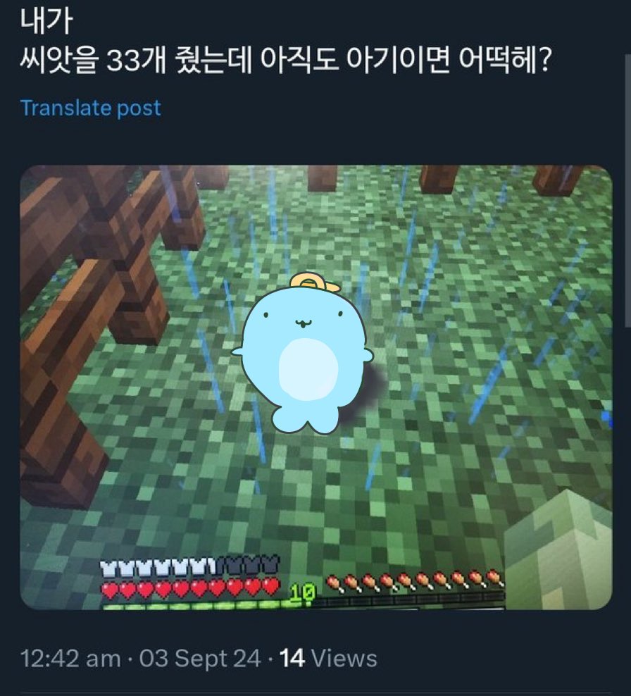 억수수 tweet media