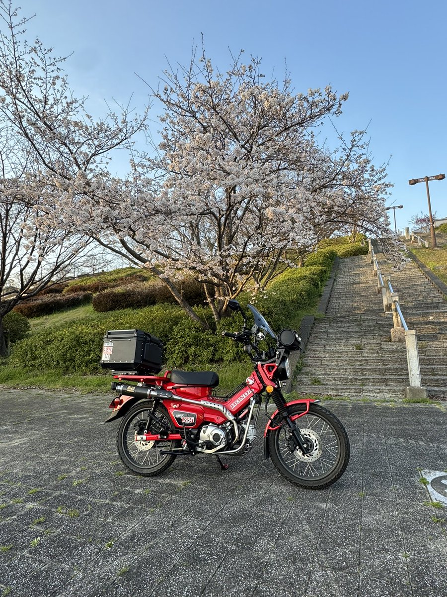 MASKEDRAIDER tweet media