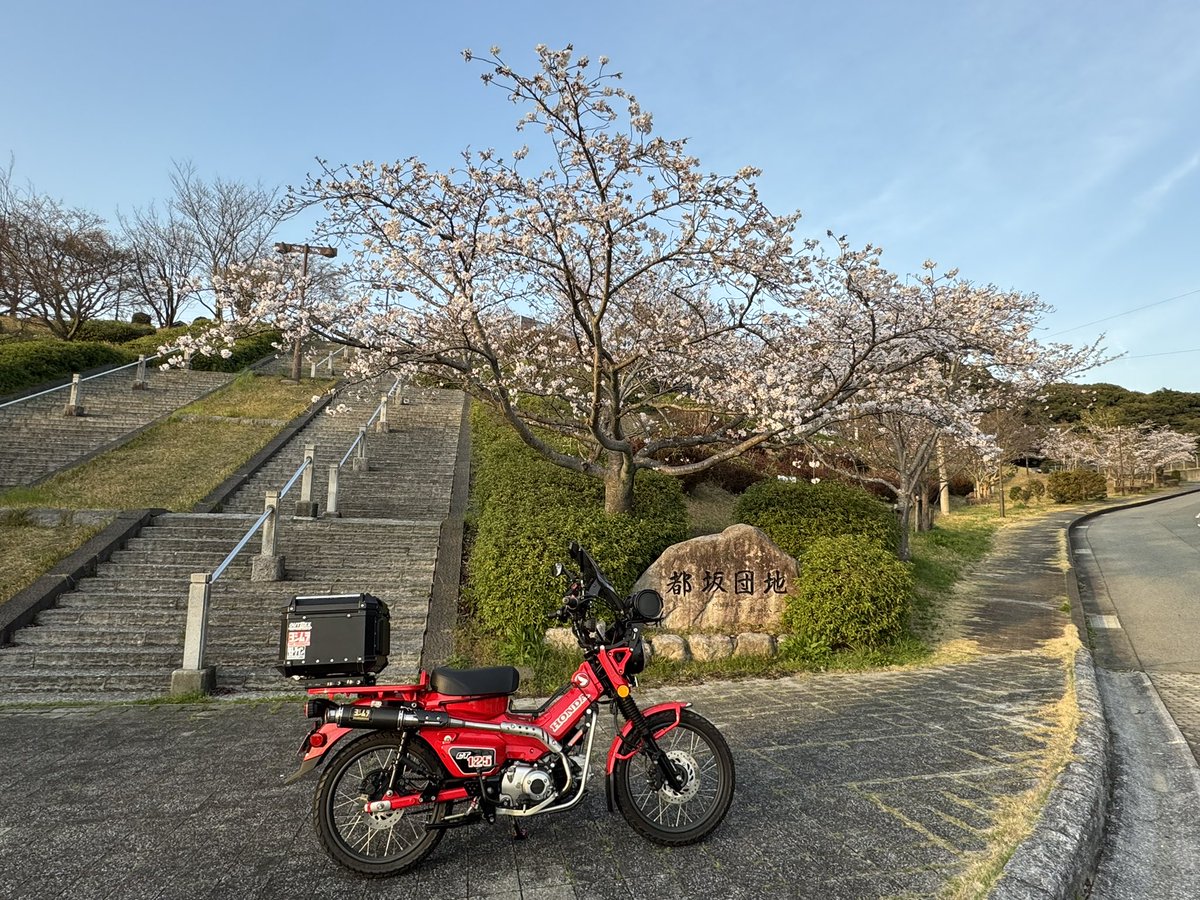 MASKEDRAIDER tweet media