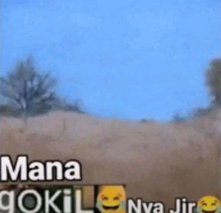 ping😴 tweet media